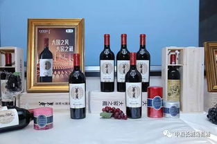 搶灘億萬級市場 長城葡萄酒如何抓住國產(chǎn)葡萄酒的“新黃金十年”