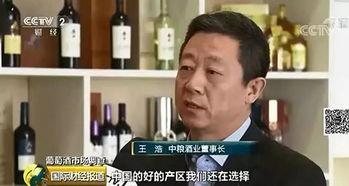 本土特色與大單品 國產(chǎn)葡萄酒在銷售壓力下的突圍路徑探索