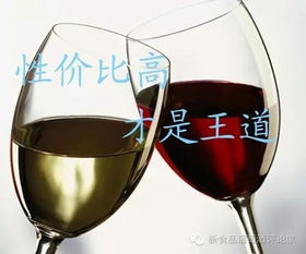 國產葡萄酒破局蓉城 品質、故事與本土化的三重奏